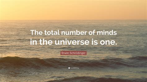 Erwin Schrödinger Quote “the Total Number Of Minds In The Universe Is