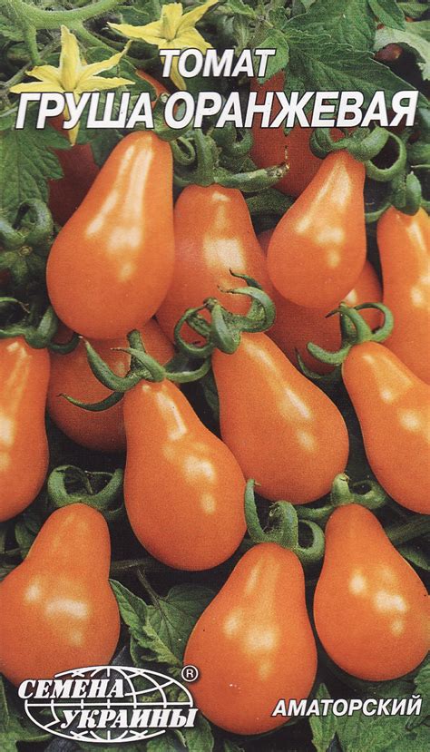 Tomato Seeds Pear Orange Etsy