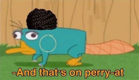 And Thats On Perry At 👁️👄👁️ Aesthetic Memes Funny Relatable Memes