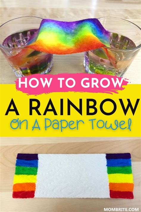 Easy Grow A Rainbow On Paper Towel Experiment Preschool Science