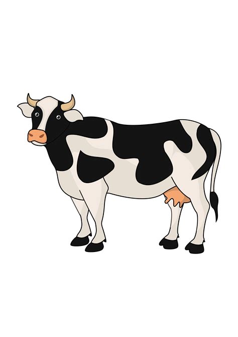 How To Draw A Cow Step By Step