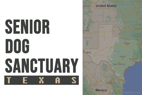 Senior Dog Sanctuary Texas | 2023