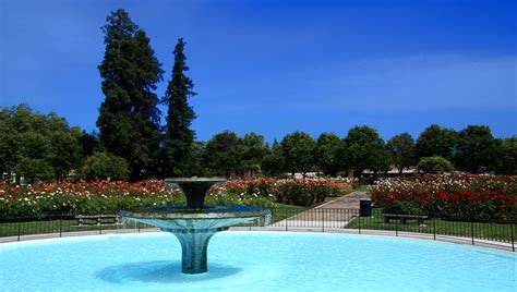 It's a great neighborhood with lots of dogs and kids! File:San Jose Municipal Rose Garden1.jpg - Wikimedia Commons