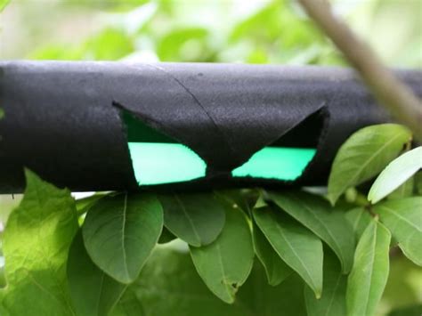 How To Make Halloween Spooky Eyes To Hide In The Bushes Spooky Eyes
