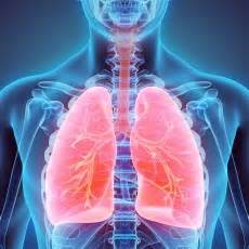 Enfermedad Pulmonar Intersticial Silicosis Asbestosis Medlineplus En Espa Ol