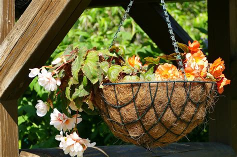 Crafting Hanging Basket And Container Garden Creations