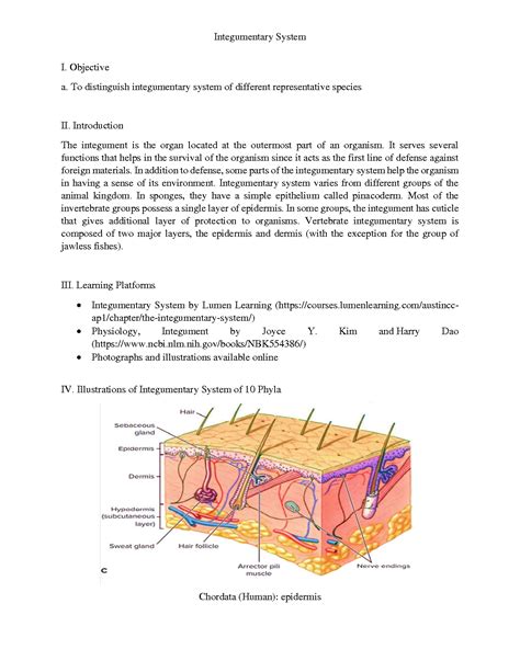 Solution Integumentary System Of 10 Phyla Studypool