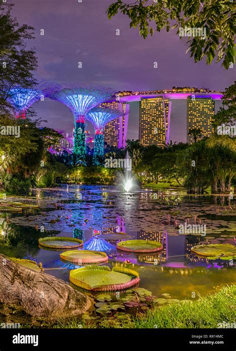 Illuminated Gardens By The Bay At Night With The Marina Bay Sands Hotel