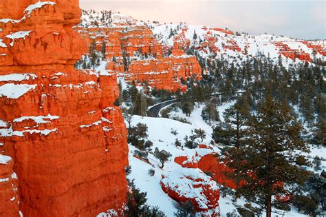 Dixie National Forest Utah Nature Of The World