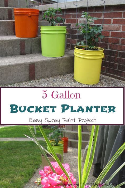 5 Gallon Bucket Planter Ideas For Your Garden