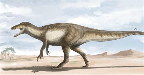 death shadow fossils of largest raptor dinosaur unearthed in argentina cbs news