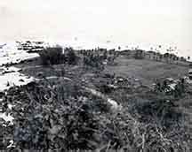 The pacific tsunami museum, with the help of hawaii county parks. 1946:Tsunami Images | Pacific Tsunami Museum