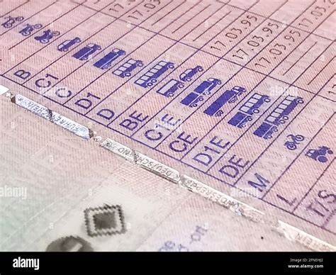 Close Up Of A German Drivers License Stock Photo Alamy