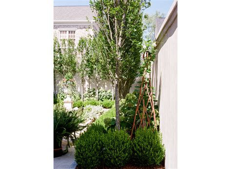 Imagery — Daigh Rick Landscape Architects | Landscape architect, Landscape, Outdoor patio designs