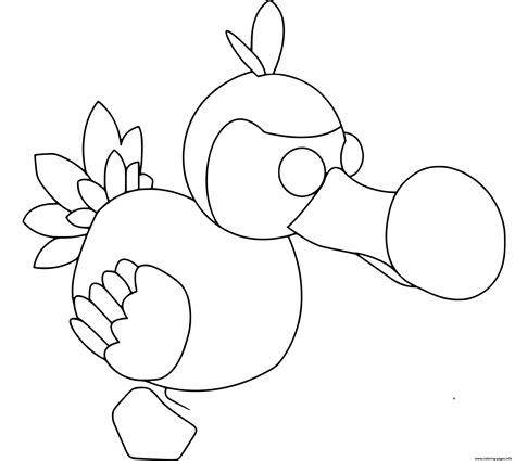 How To Draw A Dodo Bird Roblox Adopt Me Pet