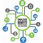 Employee Benefits Benefit Solutions Business Employees Challenges