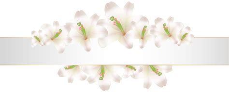 Banner Flower Png Png Image Collection