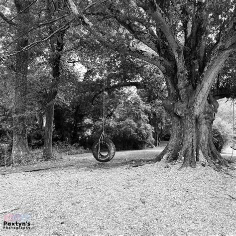 Tire Swing Black And White Landscape Picture Of Tire Swing Flickr