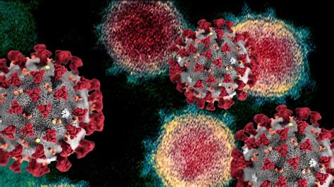 Us Mounting Probe Into Chinese Lab Coronavirus Origins Fox News Video