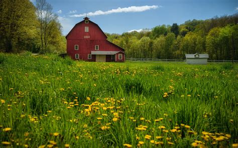 See more ideas about scenery, pictures, old barns. 47+ Barn Wallpapers on WallpaperSafari