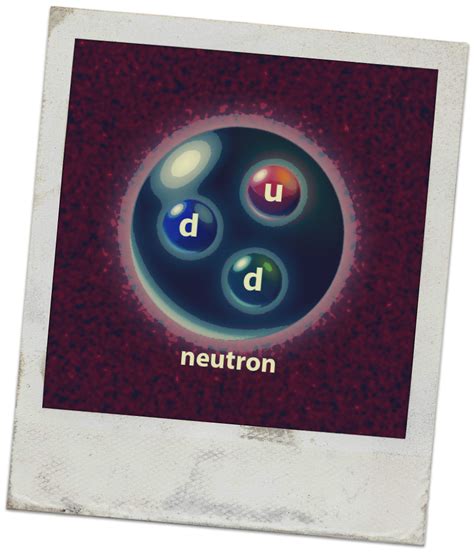 Sunnivarose 10 Facts About Neutrons