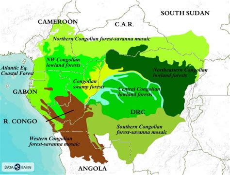 Congo Basin Ecoregions Global Forest Atlas