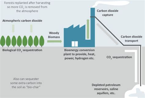 Preventing Climate Change With Beccs Bioenergy With Carbon Capture And