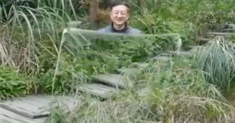 Man Totally Disappears Behind His Amazing Invisibility Cloak Which He
