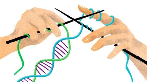Genetically Modified Humans 4 Kinds We Can Now Create