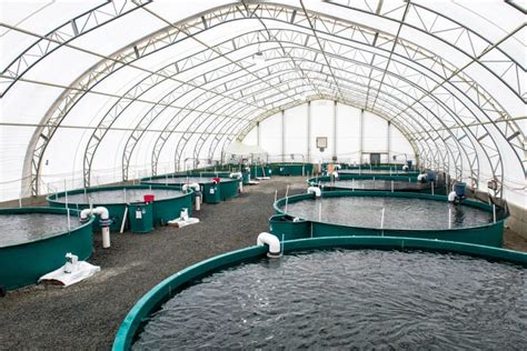 Fish Farming Done Responsibly Aquaculture Magazine Fish Farming