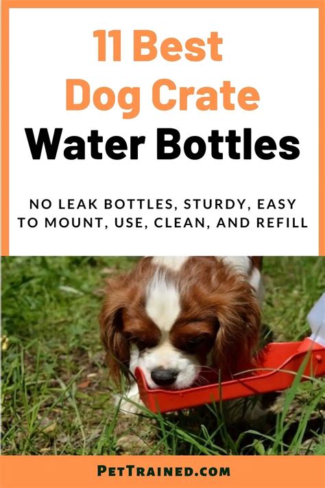 11 Best Dog Crate Water Bottle To Keep A Dog Hydrated Pet Trained