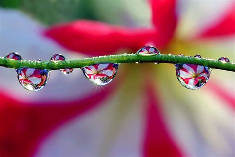 The Most Beautiful Water Drops Reflections