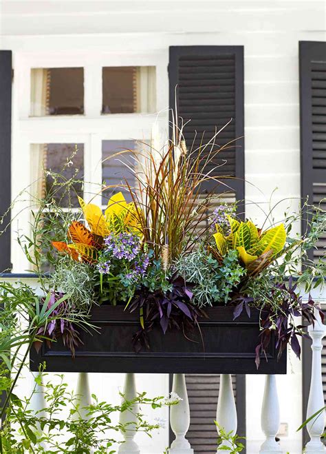 19 Colorful Window Box Ideas To Brighten Up Your Exterior