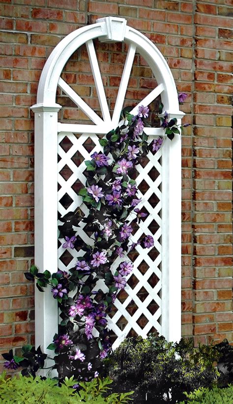 Cheap Trellis And Arbors, find Trellis And Arbors deals on line at ...
