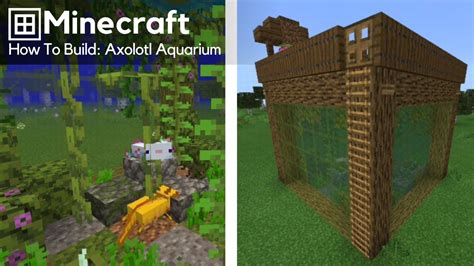 Minecraft How To Build Axolotl Aquarium Build Tutorials Youtube