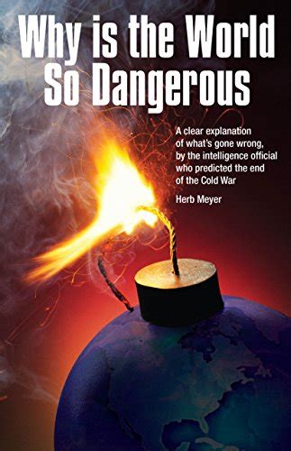 Why Is The World So Dangerous Herb Meyer 9780935166101 Abebooks