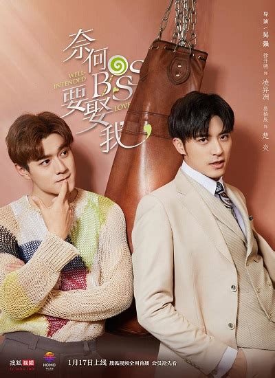 [finished airing] well intended love web drama cdramabase