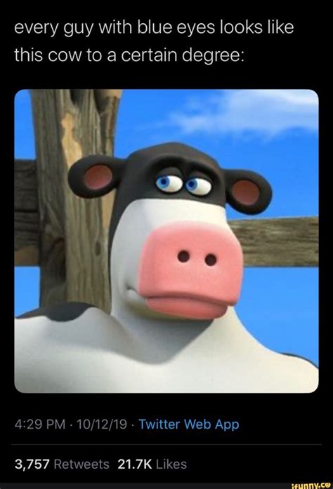 Every Guy With Blue Eyes Looks Like This Cow To A Certain Degree 4129 Pm 101219 Twitter