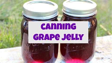 Canning Grape Jelly Youtube