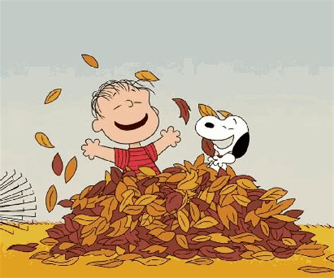 Its Fall Fall Leaves GIF Its Fall Fall Leaves Autumn Leaves Discover Share GIFs
