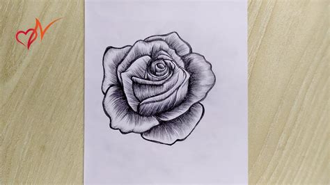 How To Draw A Realistic Rose So Easily Pencil Sketch Drawing For