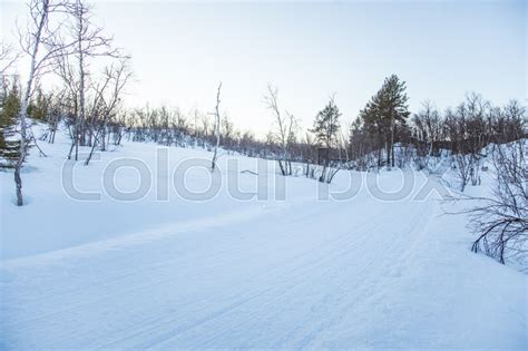 A Beautiful White Landscape Of A Snowy Stock Photo Colourbox