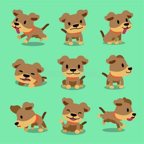 Vector Cartoon Character Cute Dog Poses Stock Vector Illustration Of