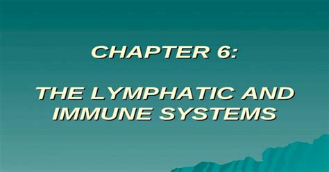 Chapter 6 The Lymphatic And Immune Systems The Lymphatic System