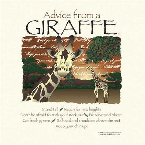 Quotes About Giraffes Quotesgram