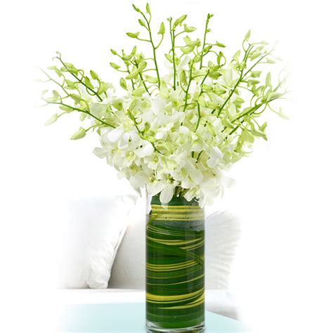 Online 40 Stems White Dendrobium Orchids Vase T Delivery In Qatar Fnp