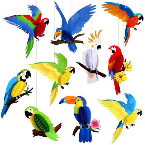 Buy 10 Pieces Tropical Birds Honeycomb Paper Cutouts Parrot Honeycomb