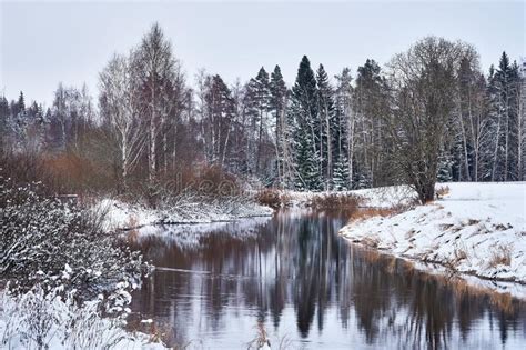 Beautiful River With A Reflection Of Snowy Conifers Surrounding It