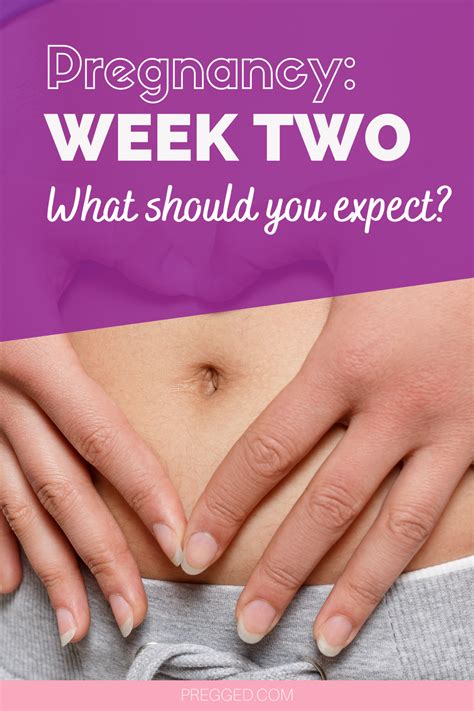 2 Weeks Pregnant Check Out This Week By Week Pregnancy Guide Know