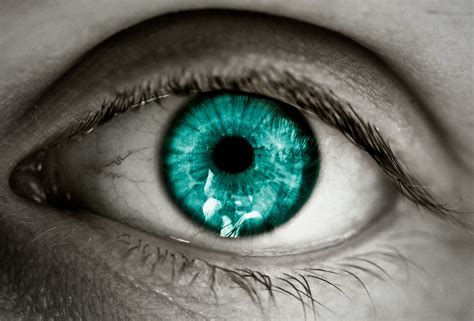 Pin By Irielle ♡ 👑💕 On ƎУƎᔕ Light Blue Eyes Eye Color Teal Eyes